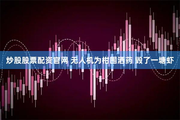 炒股股票配资官网 无人机为柑围洒药 毁了一塘虾