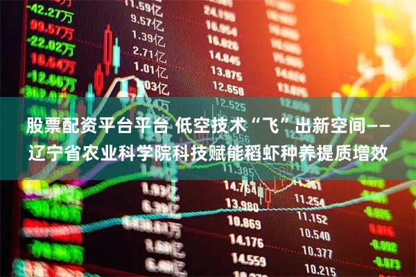 股票配资平台平台 低空技术“飞”出新空间——辽宁省农业科学院科技赋能稻虾种养提质增效