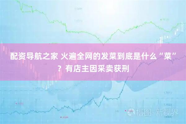 配资导航之家 火遍全网的发菜到底是什么“菜”？有店主因采卖获刑